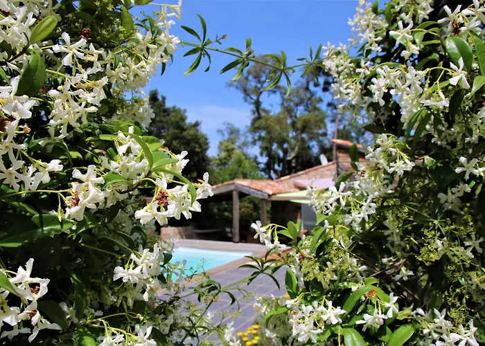 La Bergerie - Les Sittelles * Pinarellu