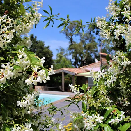 La Bergerie - Les Sittelles * Pinarellu